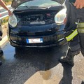 Principio d'incendio al vano motore: intervento Vigili del fuoco e Polizia Locale sulla provinciale Andria Canosa di Puglia