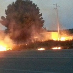 Fumi tossici in città, dott. Leonetti:  "Stop agli incendi "