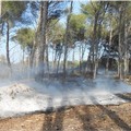 Siccità, Coldiretti: si aggrava il bilancio incendi in Puglia