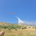 Incendi: Coldiretti Puglia, dolosi 6 roghi su 10; sale la conta dei danni