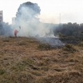 Brucia contrada Borduito alla periferia della città