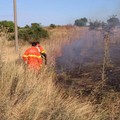 Incendio in Contrada Coleti a Minervino Murge, intervengono i Federiciani