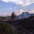 Vasto incendio presso contrada “Trulli del Piano Mangieri”
