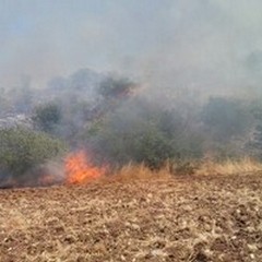 Bruciano 400 ettari di terreno al confine tra Minervino ed Andria