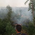Incendio sterpaglie anche ad Andria, Vigili del fuoco in azione: “Troppe segnalazioni alla sala operativa, i Comuni si attivino”