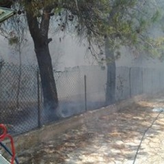 Incendio in Viale delle Pinete sull'Andria-Castel del Monte: paura per un'abitazione