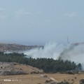 In fiamme 70 ettari di pineta in territorio di Minervino Murge: sul posto anche i Carabinieri Forestali di Andria