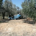 Grave incidente sulla Corato - Andria, auto contro un albero di olivo