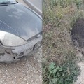 Incidenti automobilisti causati dai cinghiali: nella Bat il 75% dei casi avviene tra Andria e Canosa
