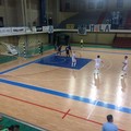 La Florigel Andria si rilancia in chiave play-off: Mola battuto 3-4