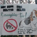 Deiezioni canine in via Stradella, l'I.C.  "Verdi-Cafaro " di Andria: «Basta ai campi minati!»