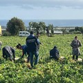Verifiche ed ispezioni del Nucleo Ispettorato del Lavoro (NIL) dei Carabinieri nella Bat