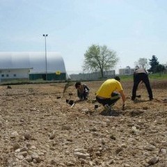 Dalle piante alle persone, nasce il primo bosco cittadino ad Andria