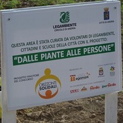 Inaugurato il primo bosco urbano di Andria a cura di Legambiente