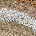 Lenticchie, fagioli e ceci si confermano tra gli alimenti più amati sulle tavole regionali in Puglia