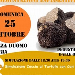 Tartufando - Degustazioni Esplorative