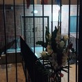 Andria si stringe all’Arma: fiori davanti alla Caserma dei Carabinieri