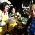 Agricoltura, in Puglia un'impresa su quattro è donna