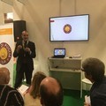 Olio extra vergine d'oliva: una nuova IGP per la Puglia