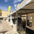 Occupazione: i giovani sempre più attratti dall'agricoltura