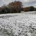 Maltempo in Puglia: strade bloccate e verdure bruciate in campo