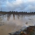 Maltempo: 12mila imprese agricole esposte al dissesto idrogeologico
