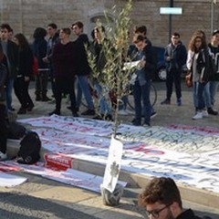 Studenti in piazza per il diritto allo studio e l'albero della libertà