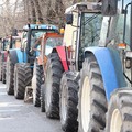 Coldiretti, trattori nuovamente in marcia per protestare contro #cartellepazze