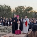 Pellegrinaggio Diocesano del Giubileo Ordinario 2025