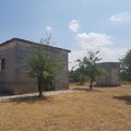 Deserta la gara per l'affidamento in concessione di Bosco Finizio e pineta di Castel del Monte