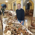 Raccolta funghi: le regole, al via il corso con il dottor Vincenzo Massaro della Asl Bt