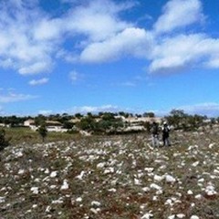 Alla scoperta del Pulicchio di Toritto grazie al progetto Agroecosistemi