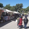 Inciviltà al mercato, Scarcelli (Fiva): “Non si faccia di tutta l’erba un fascio”