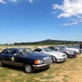 Le Mercedes storiche nella BAT tra paesaggio, visite guidate e passione grazie agli “Amici della Stella”