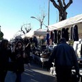 "Il settembre dei mercati ", ovvero qualche idea da proporre al neo assessore Matera
