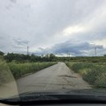 Emergenza xylella a Minervino Murge:  "la provincia è ferma "