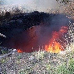 Pecore morte bruciate in una vecchia piscina in Contrada Monte Pietroso