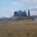 Brucia ancora la Murgia, incendio a Monte Vitolo