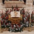 Diocesi di Andria, Natale 2020:  "Una carezza dal cielo "