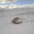 Maltempo, Murgia nella morsa del freddo, con neve a bassa quota