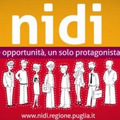 Bando NIDI - Seminario informativo gratuito