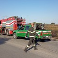 Vasto incendio sulla ex sp 231 Andria Canosa di Puglia, località Arnieci