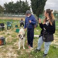 Con il progetto "Mi Fido " gli amici a quattro zampe aiutano l'uomo a fini terapeutici