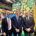 Andria presente a  "Olio capitale "