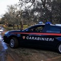 Scattano controlli e sanzioni dei Carabinieri nella Bat. Numerose le verifiche su Andria