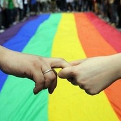 È ancora polemica sulla legge contro l'omofobia: educazione alle differenze o indottrinamento?