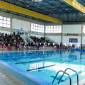 Piscina comunale, Fratelli d'Italia: "Si riapra al più presto la struttura, per la città ed i lavoratori dipendenti "