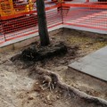 In via padre Savarese interventi di ripristino del marciapiede
