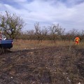 Andria: incendio divampa in contrada Parco della Murgia