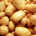 Coldiretti, allarme import patate dall'Egitto